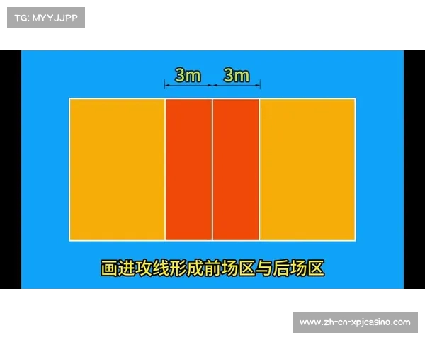 标准排球场尺寸平面图解析与新手培训指南 标准排球场尺寸平面图解析与新手培训指南